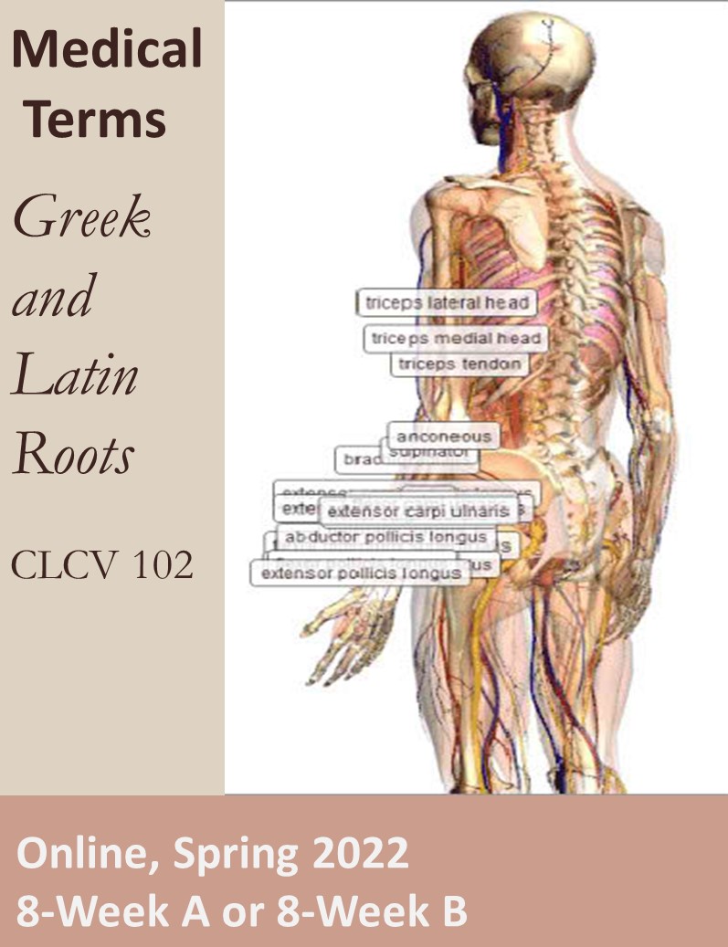 poster for CLCV 102 showing anatomical model