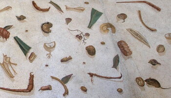 Mosaic of a messy floor