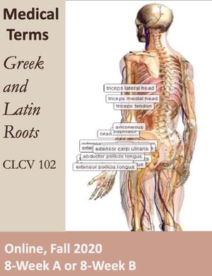 Medical Terms Grk Lat Roots Online Classics At Illinois