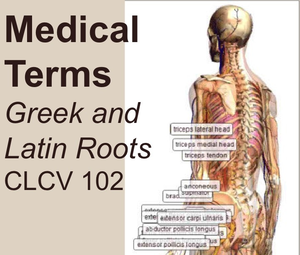 Medical Terms, Greek and Latin Roots